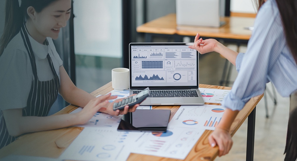 Analyzing Financial Metrics in Business Reports AFMBRSKv1