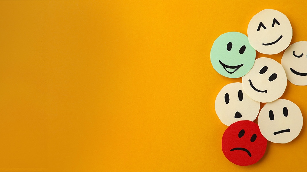 Empathetic Communication and Emotional Management ECEMSKv2
